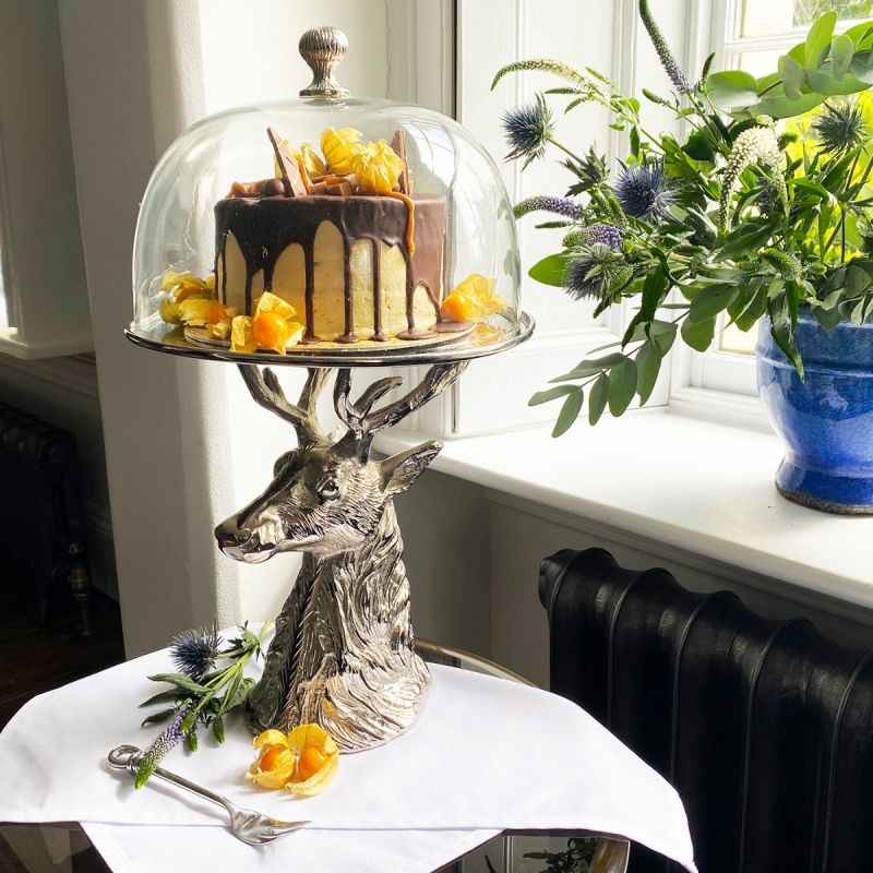 Cake stand with covered glass dome best sale