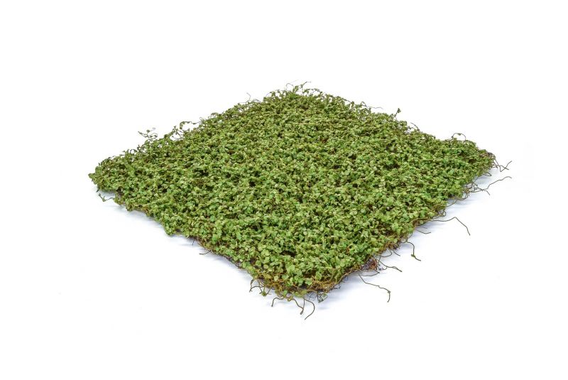 Faux Topiary Mat Moss - Twig Green