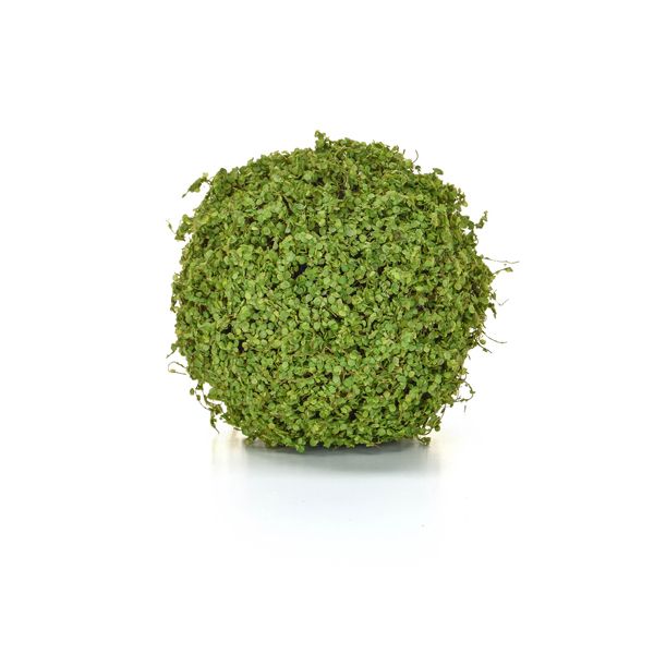 Faux Topiary Ball Moss - Twig Green 25cm