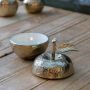 Golden Apple Trinket Dish with White Enamel | PRE-ORDER - DUE DECEMBER