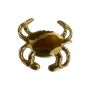 Crab Bottle Opener