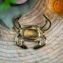 Crab Bottle Opener