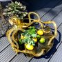 Black Shell Bowl with Gold Octopus