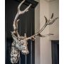 Stag Head Wall Decor | UNBOXED SECOND