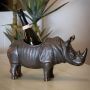 Rhino Wine Cooler - Bronze finish