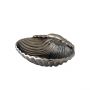 Nickel Finish Shell Dish - Small 