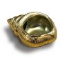 Sea Snail Gold Tea Light Holder