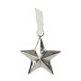 Extra Small Silver Hammered Star Decoration 