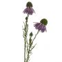 Faux 53cm Echinacea Spray Lavender