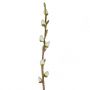 Faux Leaf Pussy Willow 114cm