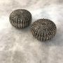 Sea Urchin Salt & Pepper Set