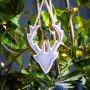 Small Grey Wooden Stag Head Decoration