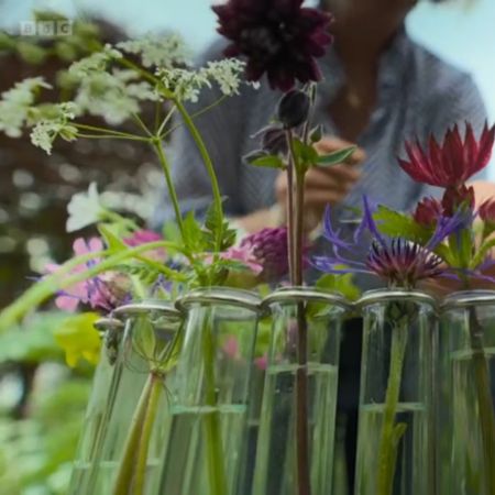 As Seen on BBC Gardeners World: Discover Our Unique Test Tube Vase Collection